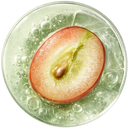BLACK GRAPE STEM CELLS (2%)