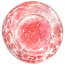 EXOSOMES (Freshwater Microalgae)