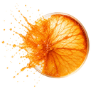 ORANGE STEM CELLS 